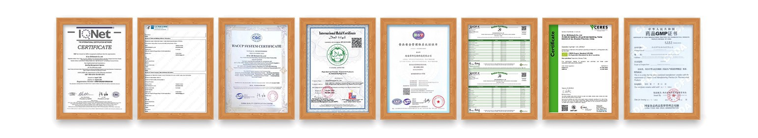 product-1543-281 product-1543-281