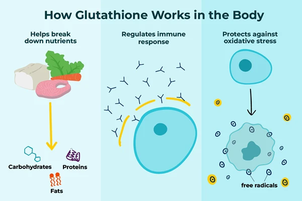 Glutathione supplement